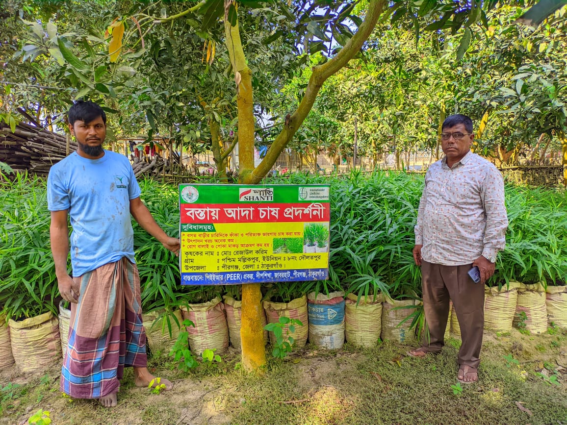 Demonstration plot on new techology by Dipshikha PEER project , Pirgonj