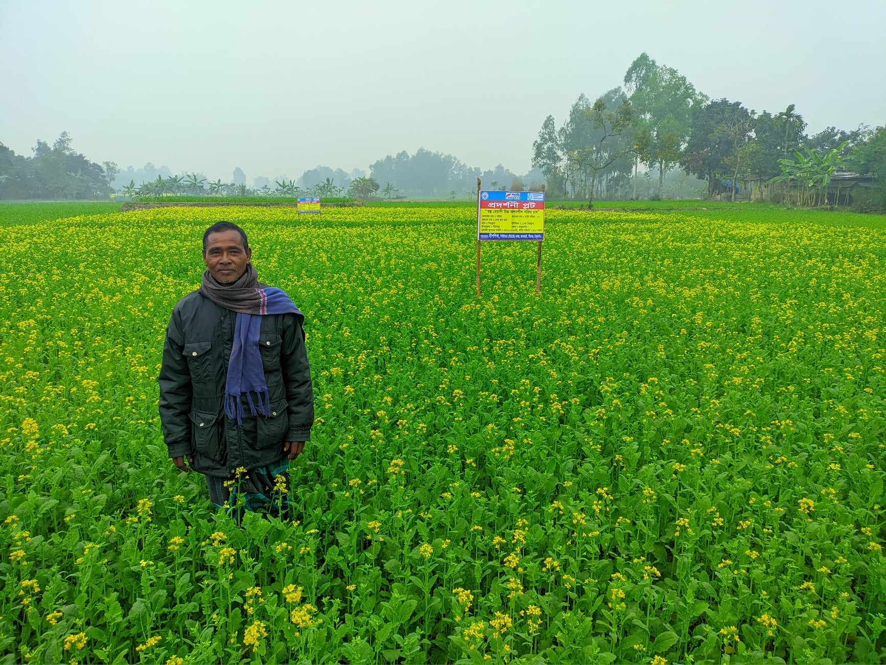 Demonstration plot on oil crops cultivation by Dipshikha PEER project , Pirgonj