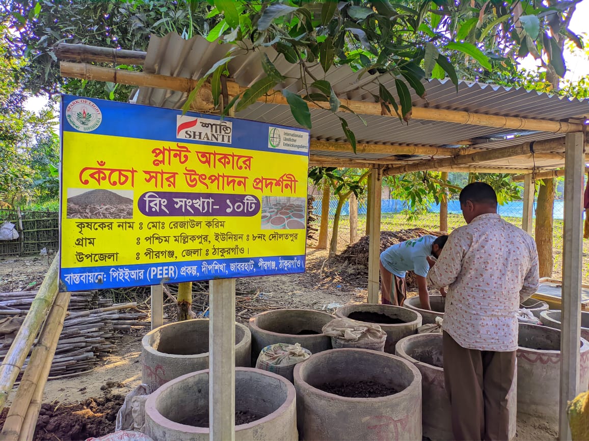 Demonstration plot on vermi compost production by Dipshikha PEER project , Pirgonj